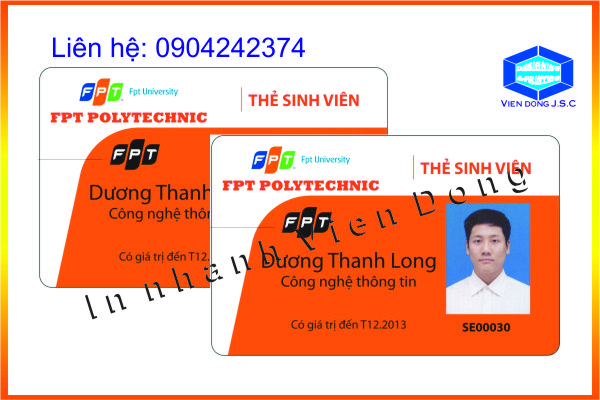 in the sinh vien